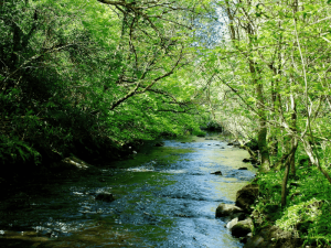 A scenic view of Abhainn Dá Loilíoch in Co. Galway