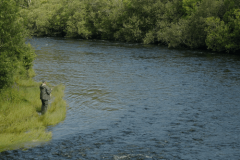 Blue Dots of Iveragh