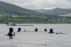 Blue Dots of Iveragh